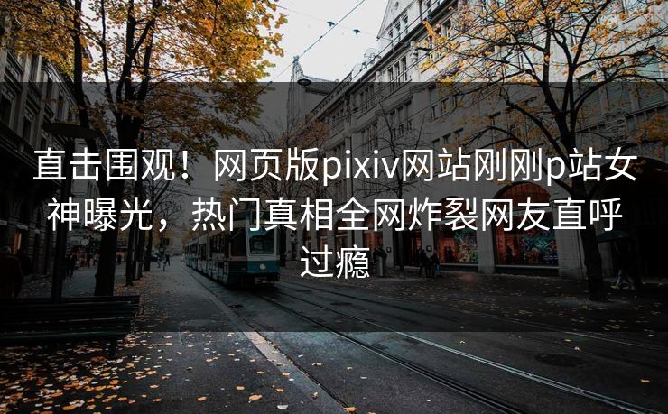 直击围观！网页版pixiv网站刚刚p站女神曝光，热门真相全网炸裂网友直呼过瘾