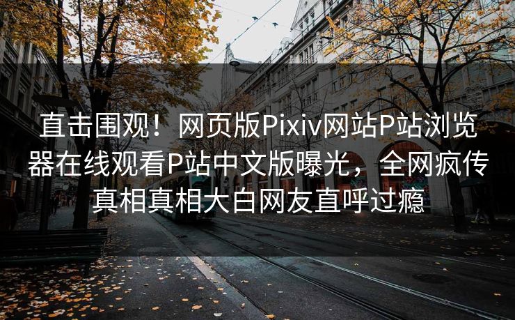 直击围观！网页版Pixiv网站P站浏览器在线观看P站中文版曝光，全网疯传真相真相大白网友直呼过瘾