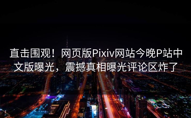 直击围观！网页版Pixiv网站今晚P站中文版曝光，震撼真相曝光评论区炸了