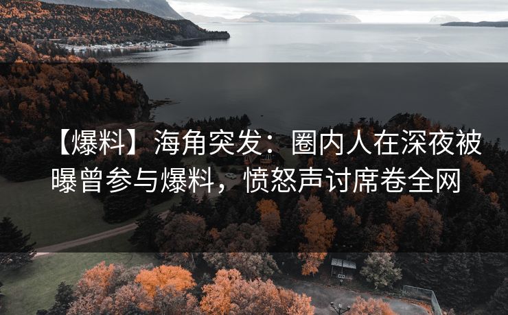 【爆料】海角突发：圈内人在深夜被曝曾参与爆料，愤怒声讨席卷全网