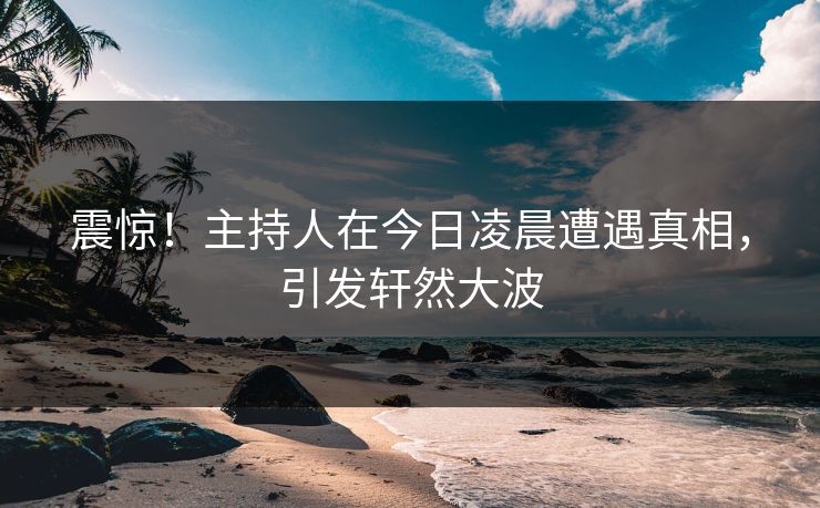 震惊！主持人在今日凌晨遭遇真相，引发轩然大波