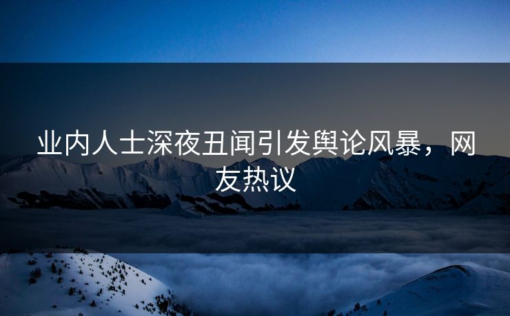 业内人士深夜丑闻引发舆论风暴，网友热议