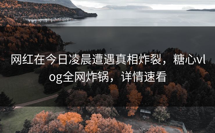 网红在今日凌晨遭遇真相炸裂,糖心vlog全网炸锅,详情速看 网红在今日凌晨遭遇真相炸裂,糖心vlog全网炸锅,详情速看
